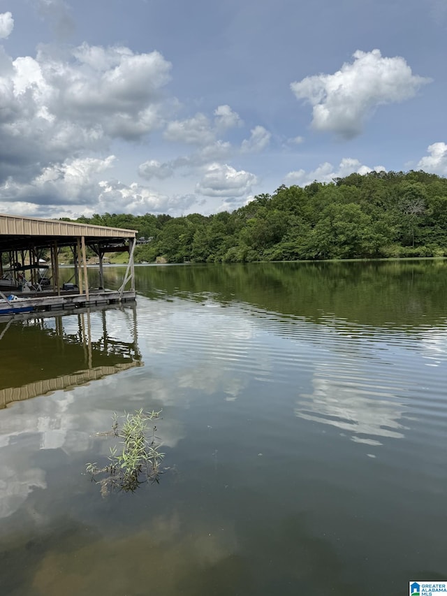 LOT4 Lakeshore Cir Unit 4, Warrior, AL 35180