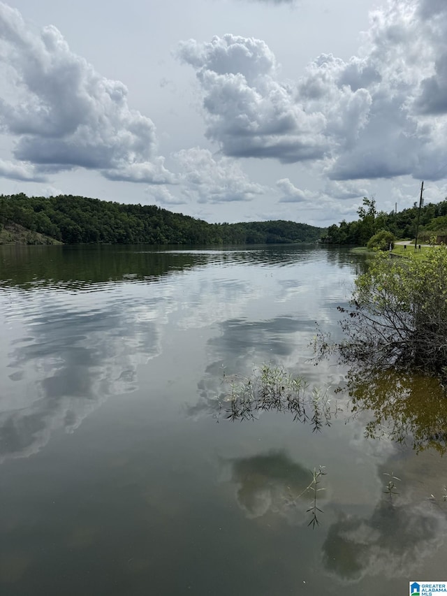 LOT4 Lakeshore Cir Unit 4, Warrior, AL 35180