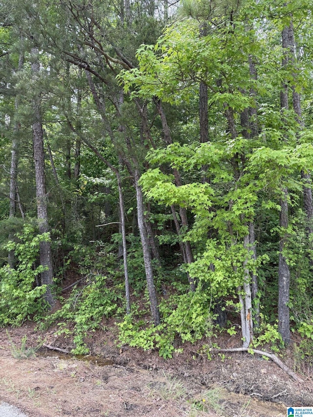 LOT4 Lakeshore Cir Unit 4, Warrior, AL 35180