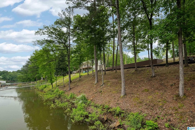 0 County Road 942 Unit 0, Crane Hill, AL 35053