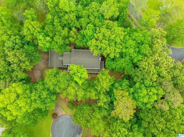 1201 Devonshire Dr NE, Jacksonville, AL 36265 - aerial view of property and surrounding area