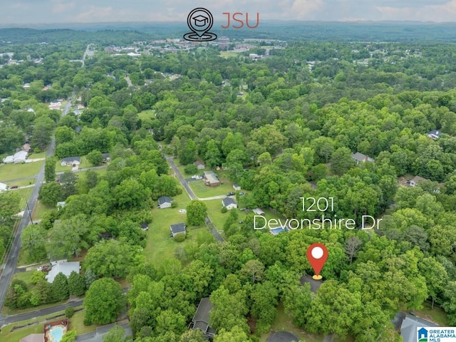 1201 Devonshire Dr NE, Jacksonville, AL 36265 - bird's eye view of a forest