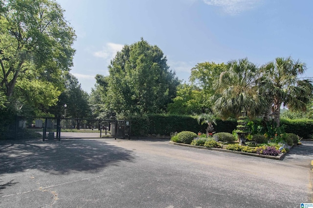 view of asphalt road with a gate, curbs, and a gated entry