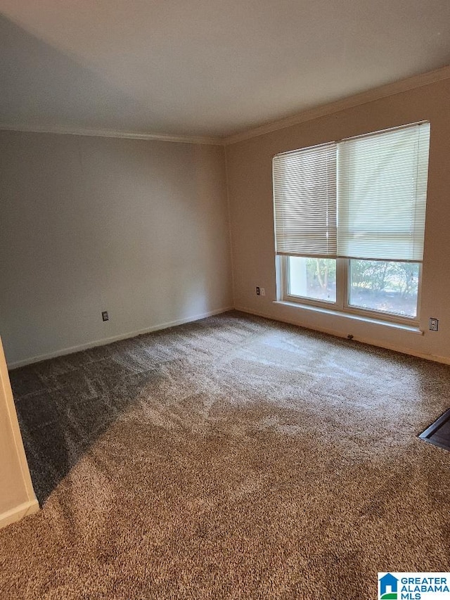 empty room with ornamental molding, carpet, and baseboards