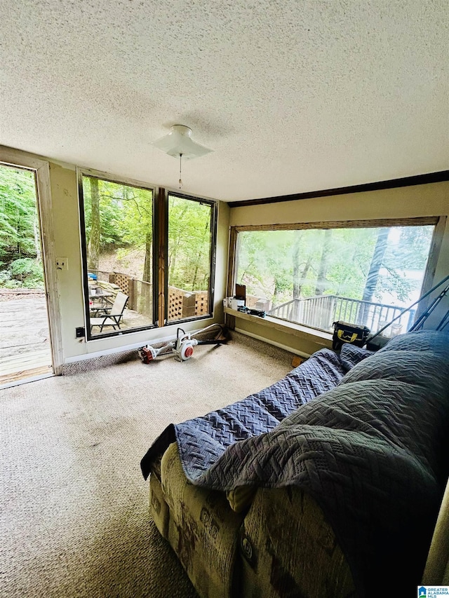 1 Annie Humber Rd, Adger, AL 35006 - carpeted bedroom with access to exterior and a textured ceiling