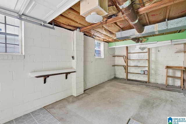 basement with concrete block wall