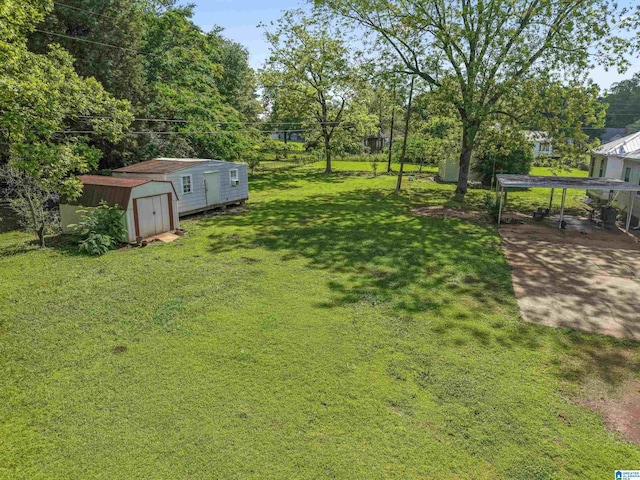 315 W Parkway Ave, Talladega, AL 35160 - view of grassy yard with a shed and an outbuilding