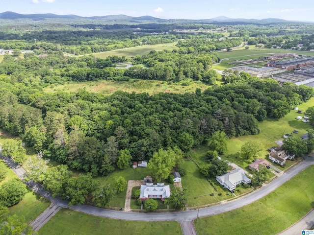 315 W Parkway Ave, Talladega, AL 35160 - aerial view of property and surrounding area with a mountain backdrop and a forest