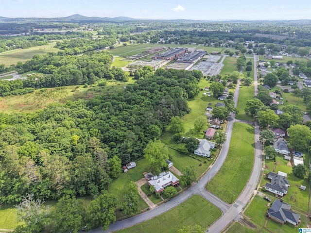 315 W Parkway Ave, Talladega, AL 35160 - aerial overview of property's location