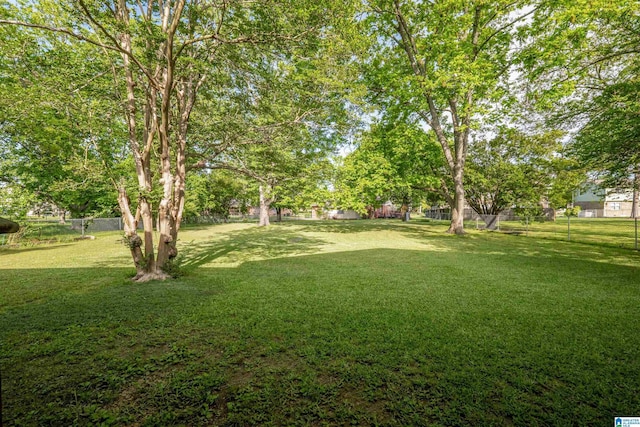 402 S 8th St, Gadsden, AL 35901 - view of yard