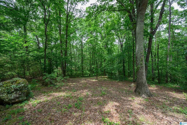 4410 S Shades Crest Rd, Helena, AL 35022 - view of wooded area