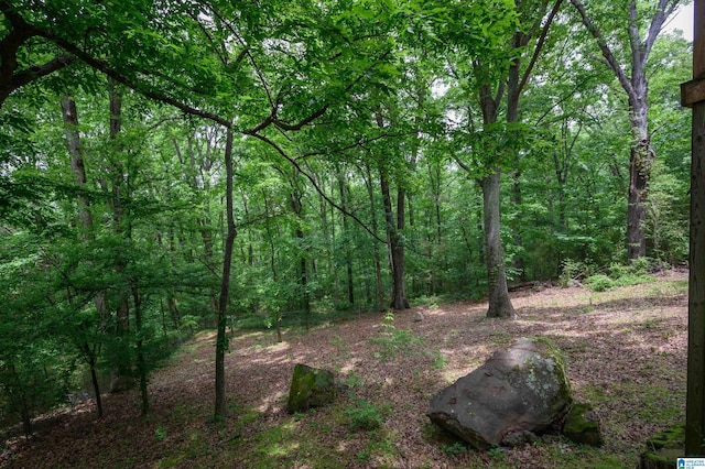 4410 S Shades Crest Rd, Helena, AL 35022 - view of tree filled area