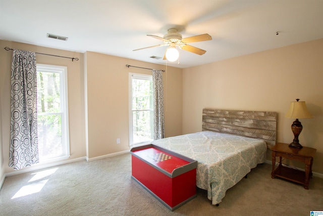 2009 Crossvine Rd, Hoover, AL 35244 - carpeted bedroom with multiple windows, baseboards, and ceiling fan