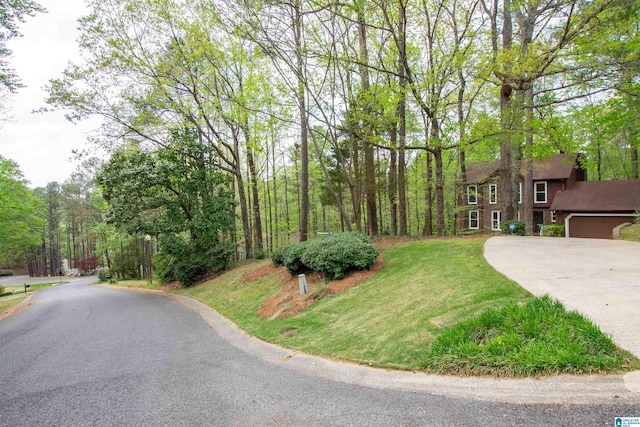 2009 Crossvine Rd, Hoover, AL 35244 - view of asphalt road