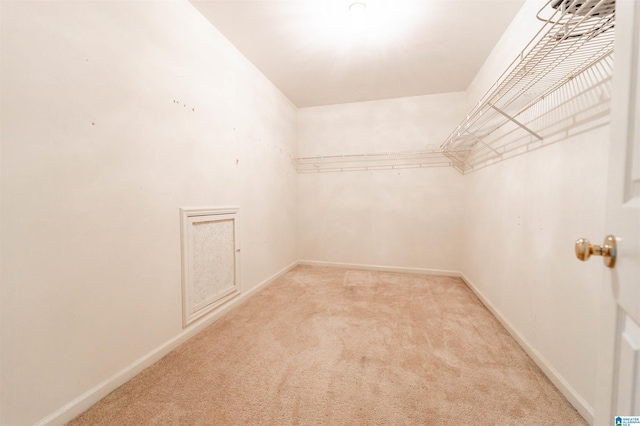 spacious closet with light carpet