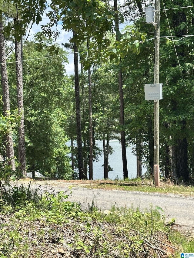 350 Black Acres Rd Unit 11, Cropwell, AL 35054