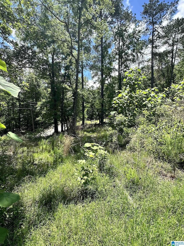 350 Black Acres Rd Unit 11, Cropwell, AL 35054