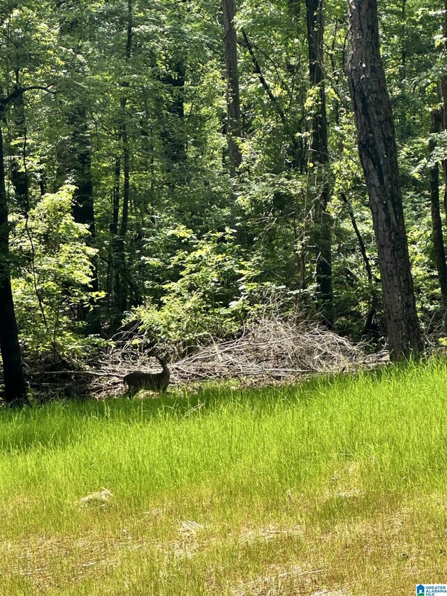 350 Black Acres Rd Unit 11, Cropwell, AL 35054
