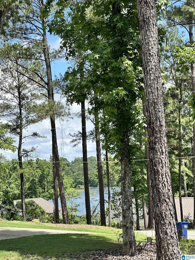 350 Black Acres Rd Unit 11, Cropwell, AL 35054
