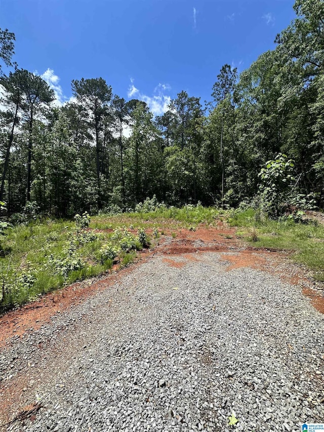 350 Black Acres Rd Unit 11, Cropwell, AL 35054