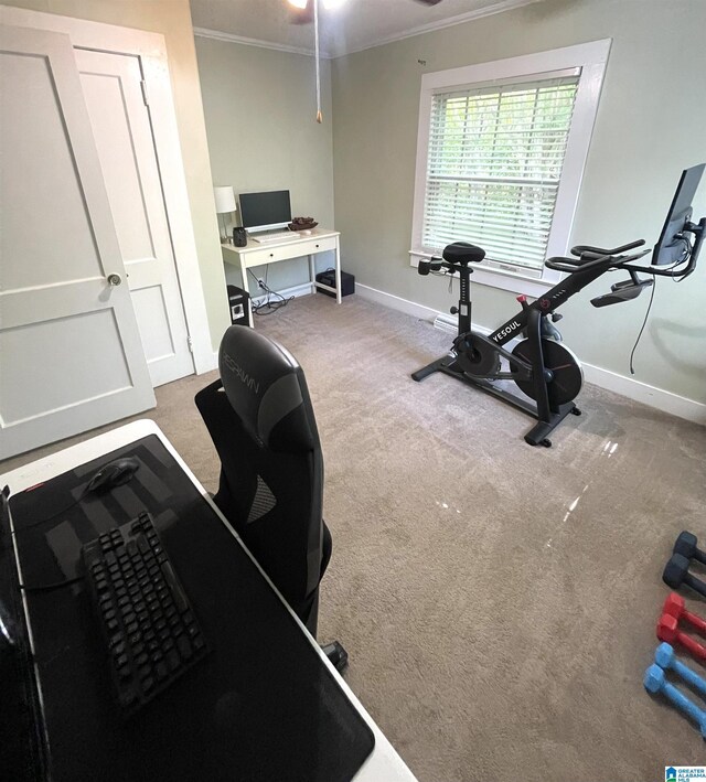 2020 Warrior Jasper Rd, Warrior, AL 35180 - workout room featuring crown molding, baseboards, carpet, and a ceiling fan