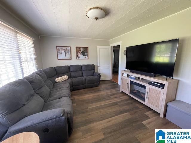 2020 Warrior Jasper Rd, Warrior, AL 35180 - living area featuring dark wood-type flooring