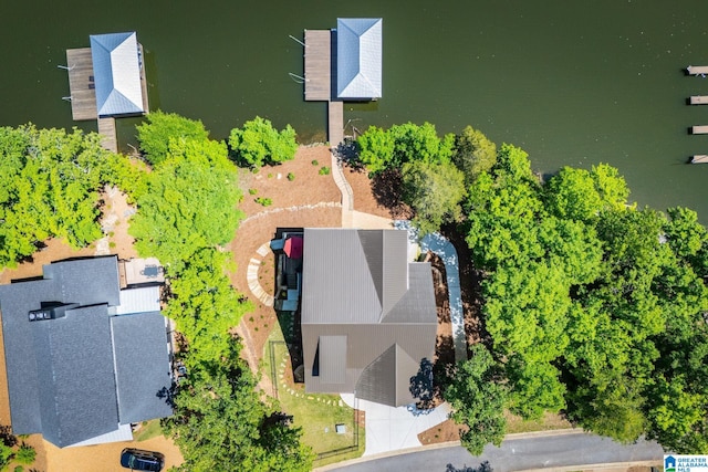 90 Landing Chase, Wedowee, AL 36278 - drone / aerial view