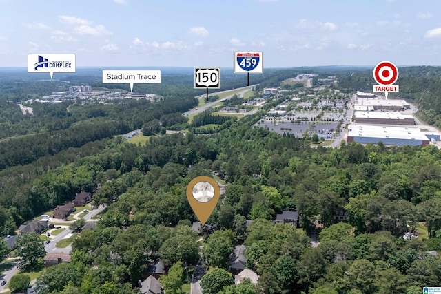 bird's eye view of a forest