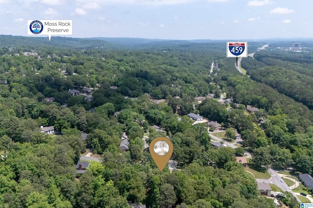 aerial view of a forest