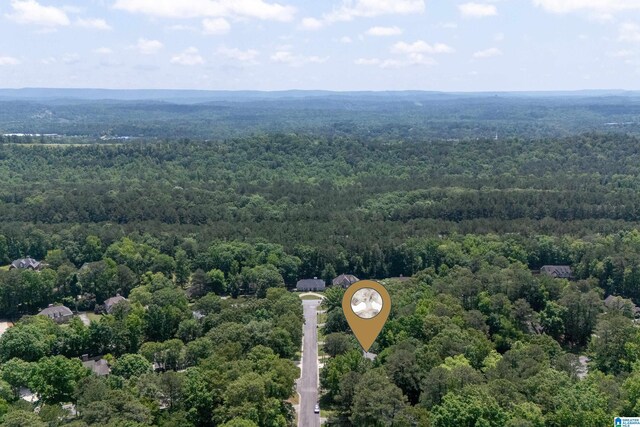 drone / aerial view of a forest
