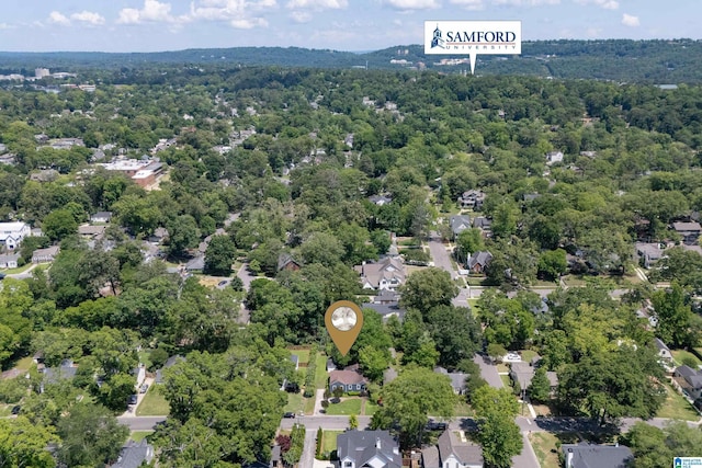 117 Morris Blvd, Homewood, AL 35209 - drone / aerial view of a forest