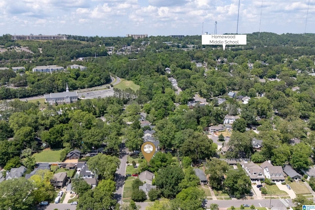 117 Morris Blvd, Homewood, AL 35209 - drone / aerial view of a tree filled landscape