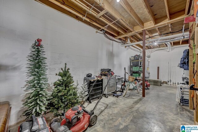 1408 W Acorn Way, Mount Olive, AL 35117 - view of unfinished below grade area