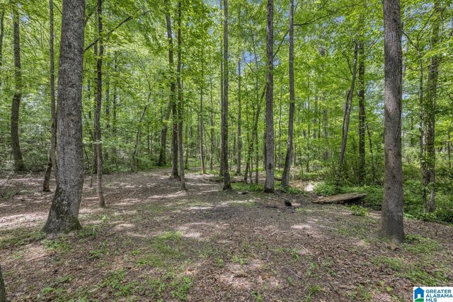 1408 W Acorn Way, Mount Olive, AL 35117 - view of tree filled area