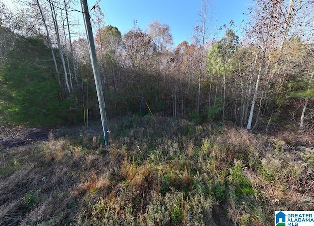 0 County Road 583 Unit 7, Geraldine, AL 35974