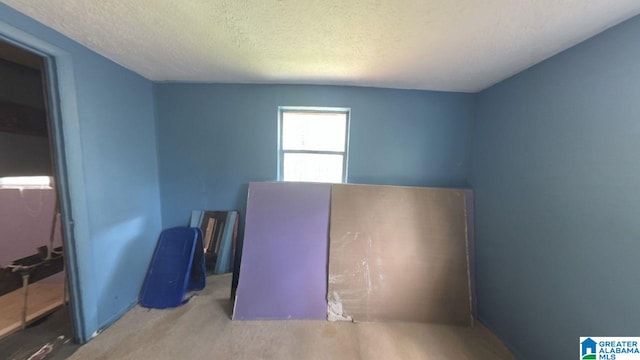 miscellaneous room featuring carpet floors and a textured ceiling