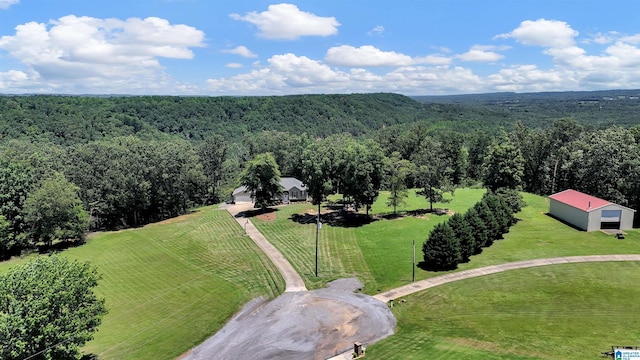 201 Paw Path Ln, Blountsville, AL 35031 - drone / aerial view of a forest