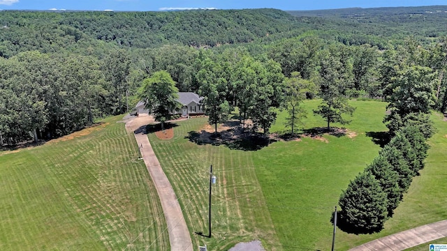 201 Paw Path Ln, Blountsville, AL 35031 - aerial view of property and surrounding area featuring a forest