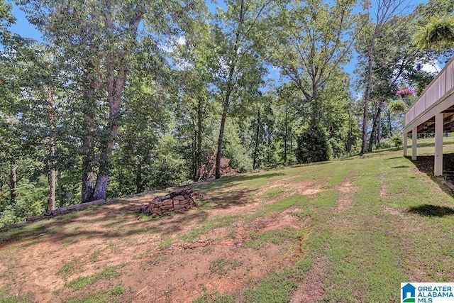 201 Paw Path Ln, Blountsville, AL 35031 - view of grassy yard