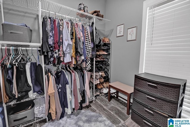 201 Paw Path Ln, Blountsville, AL 35031 - walk in closet with wood finished floors