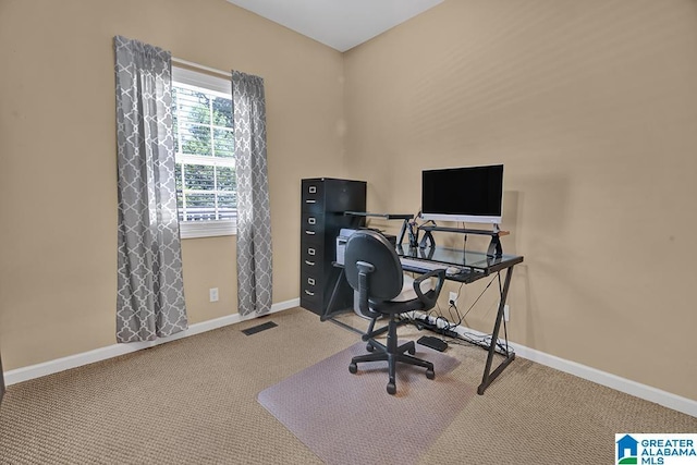 201 Paw Path Ln, Blountsville, AL 35031 - home office with carpet and baseboards
