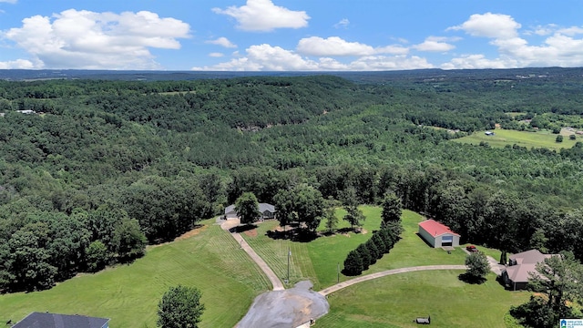 201 Paw Path Ln, Blountsville, AL 35031 - drone / aerial view of a forest