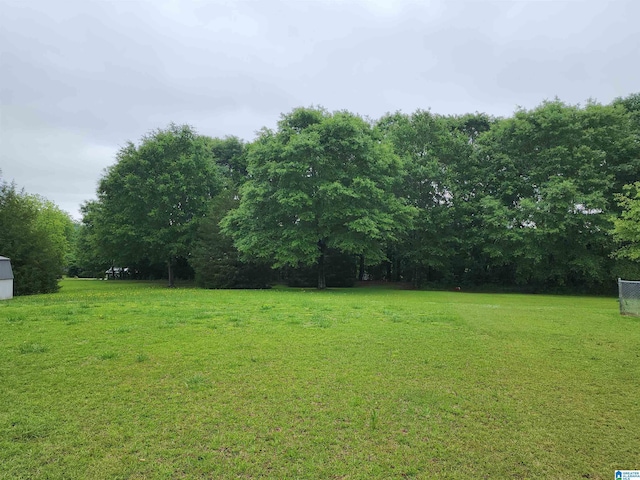 view of grassy yard