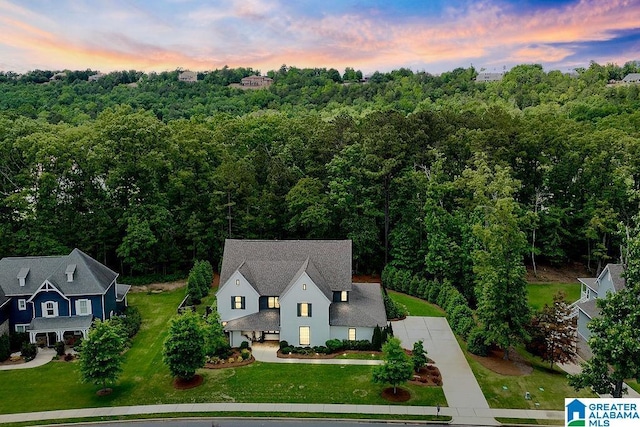 2126 Raines Run, Birmingham, AL 35242 - aerial view at dusk of a forest view