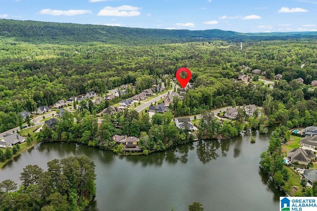 2126 Raines Run, Birmingham, AL 35242 - aerial perspective of suburban area with a heavily wooded area and a nearby body of water