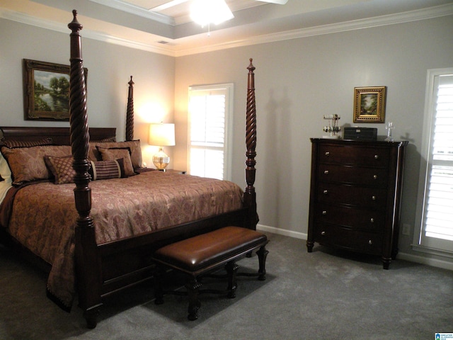 bedroom with crown molding, multiple windows, carpet flooring, and a raised ceiling