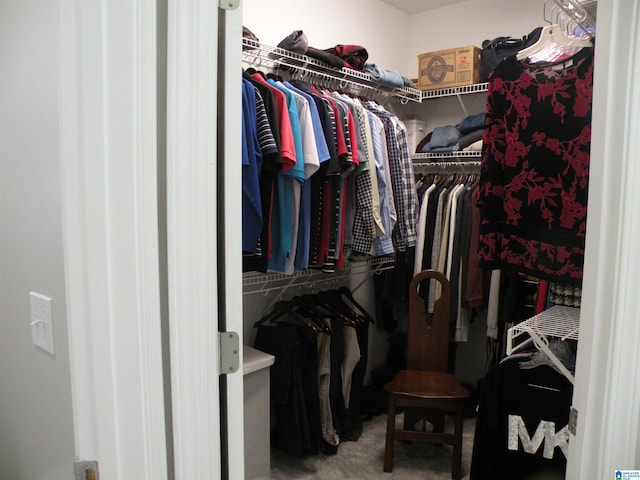 walk in closet with carpet flooring