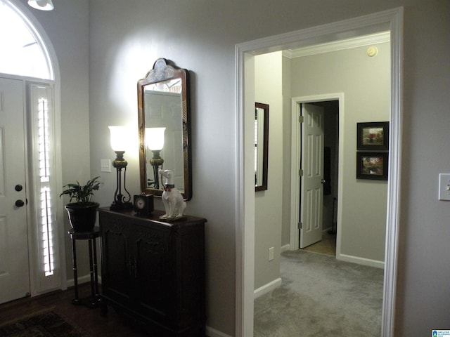 entrance foyer with baseboards and carpet flooring