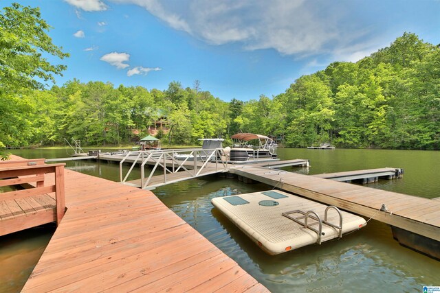 dock with a view of trees and a water view