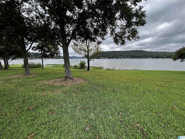 981 Charada Lake Rd Unit 4, Rainbow City, AL 35906